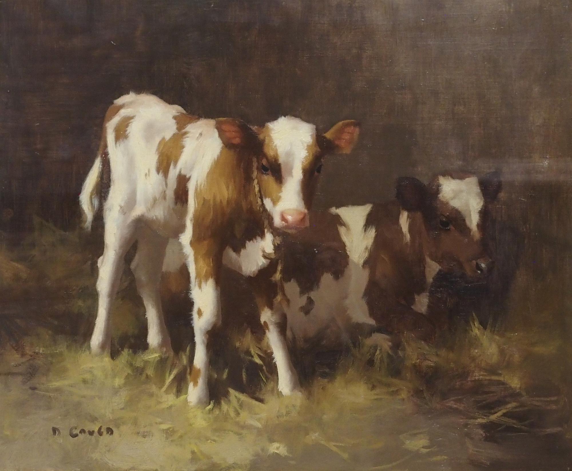 David Gauld | Two Ayreshire Calves in a Byre