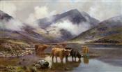 Highland Cattle Watering, Louis Bosworth Hurt