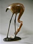 Flamingo, Jonathan Knight