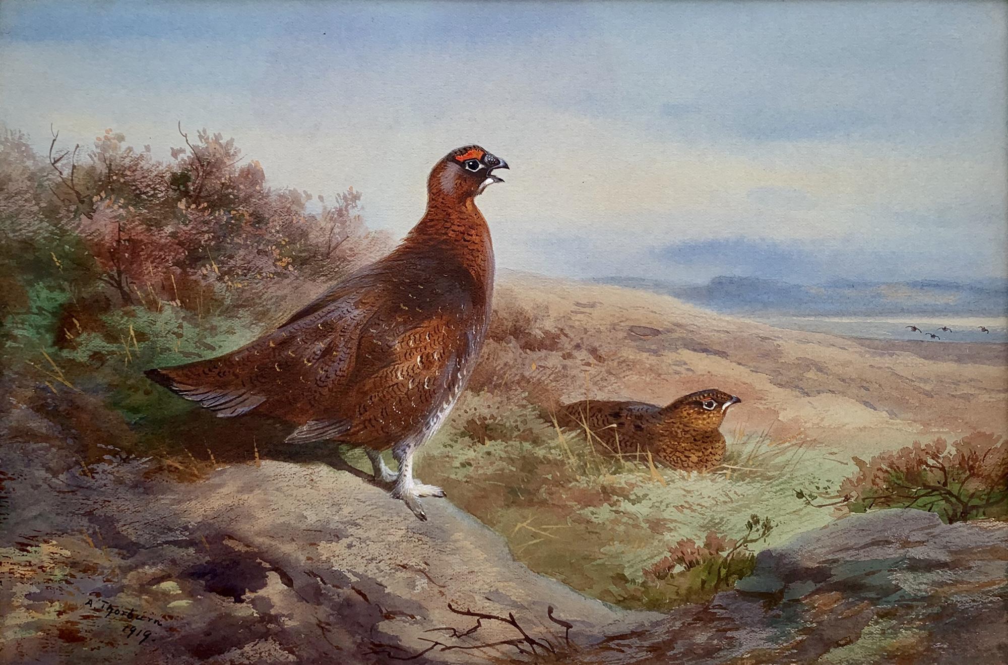 Archibald Thorburn | Grouse