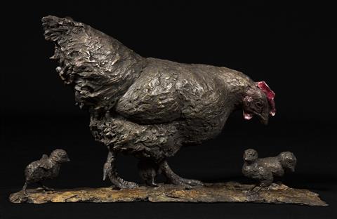 Knox Field | Chicken & Chicks