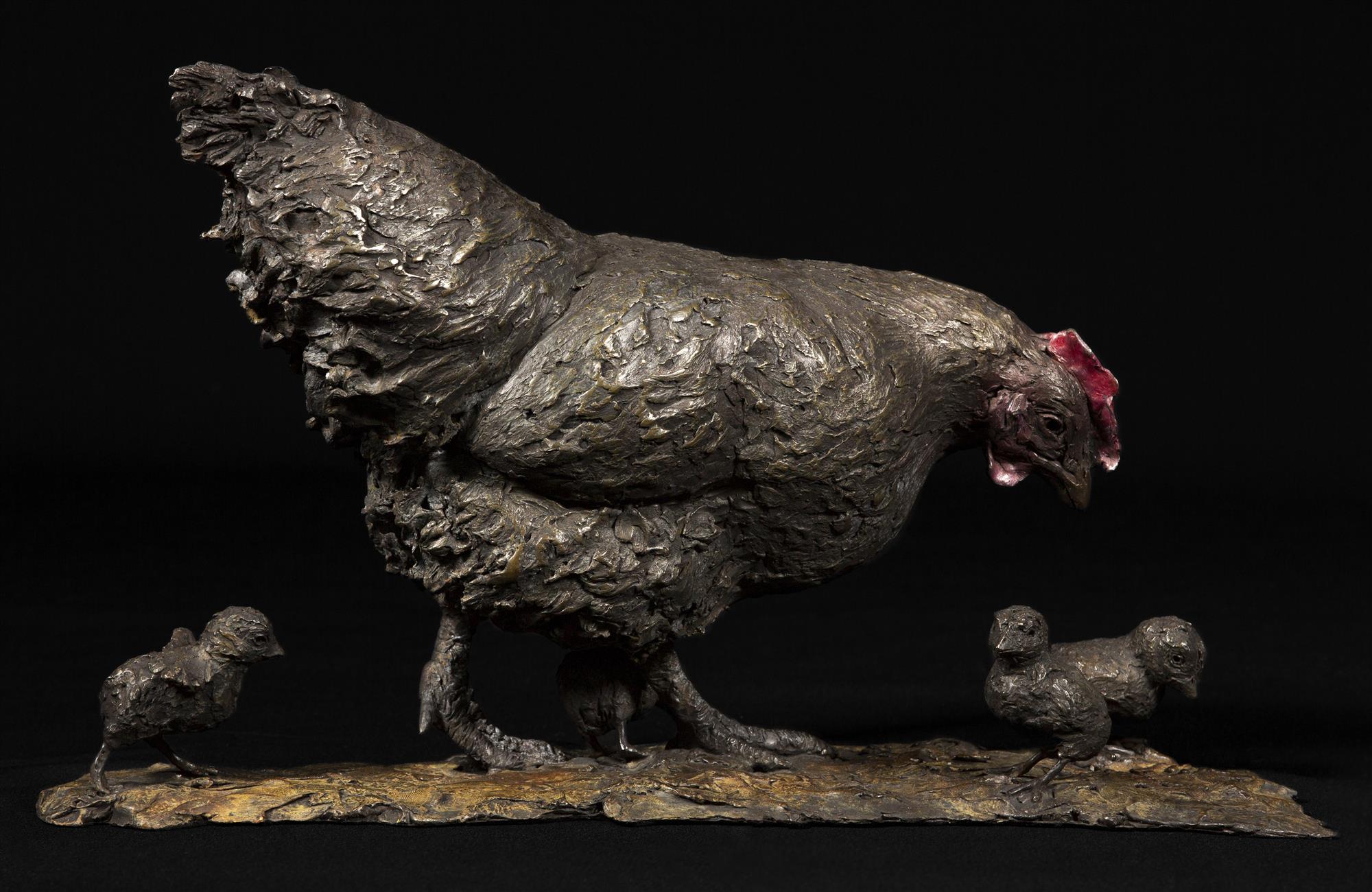 Knox Field | Chicken & Chicks