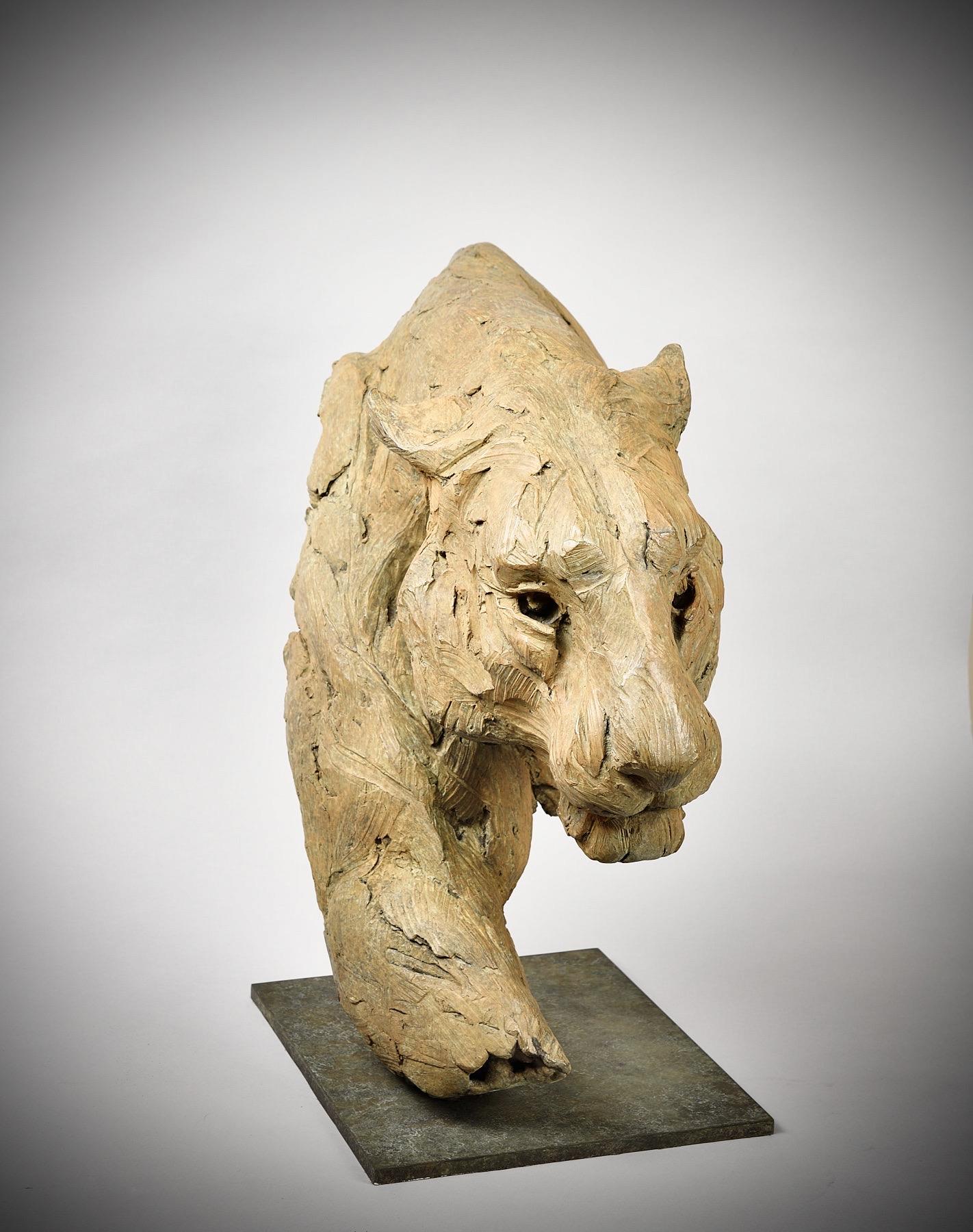 Lucy Kinsella | Prowling Tiger