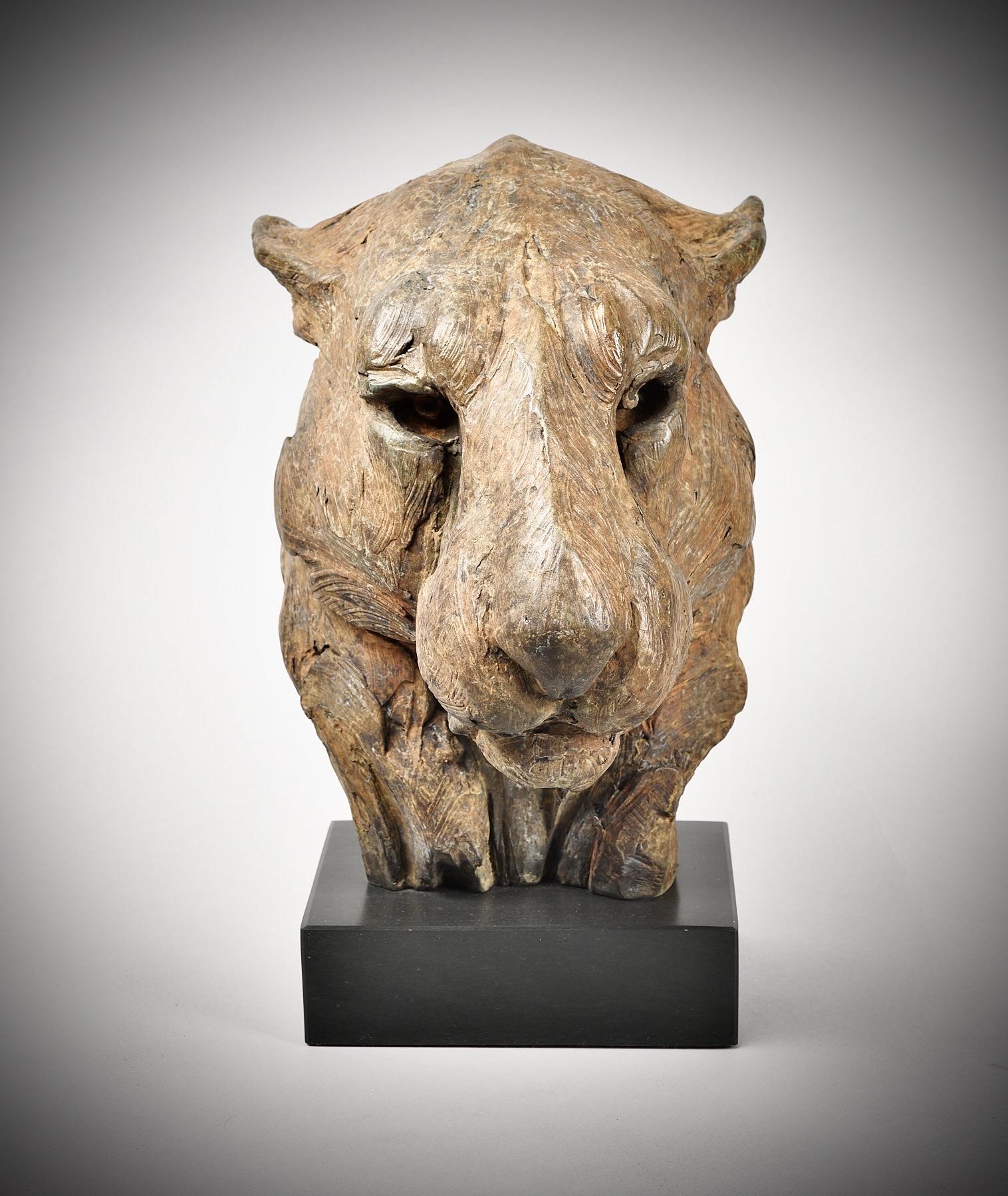 Lucy Kinsella | Leopard Head