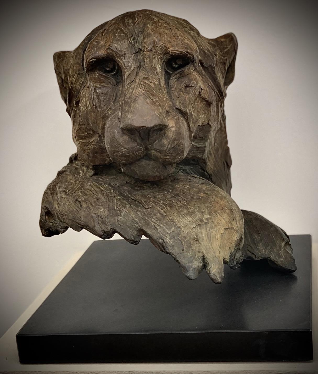 Lucy Kinsella | Cheetah Head