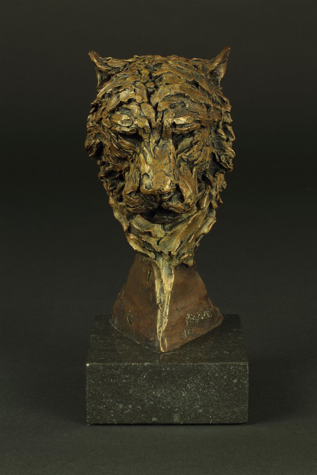 Knox Field | Tiger Portrait