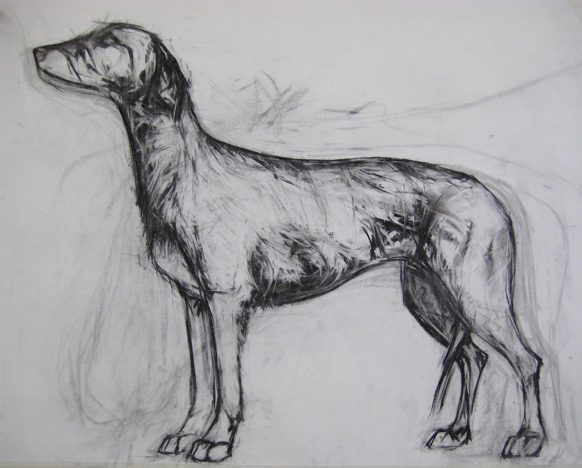 Joseph Paxton  | Young Wolf Hound