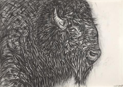 Joseph Paxton  | Bison 2
