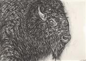 Bison 2, Joseph Paxton 