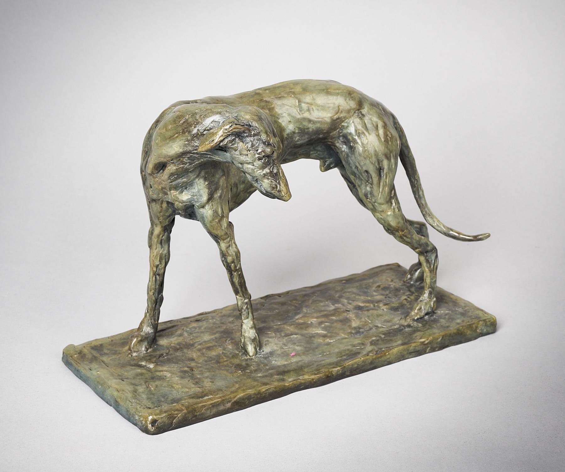 Jemma Pearson | Lurcher