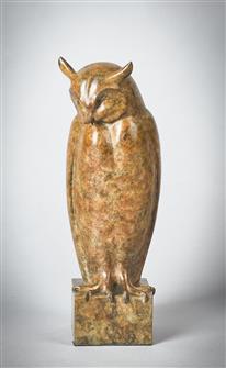 Jonathan Knight | Small Long Eared Owl