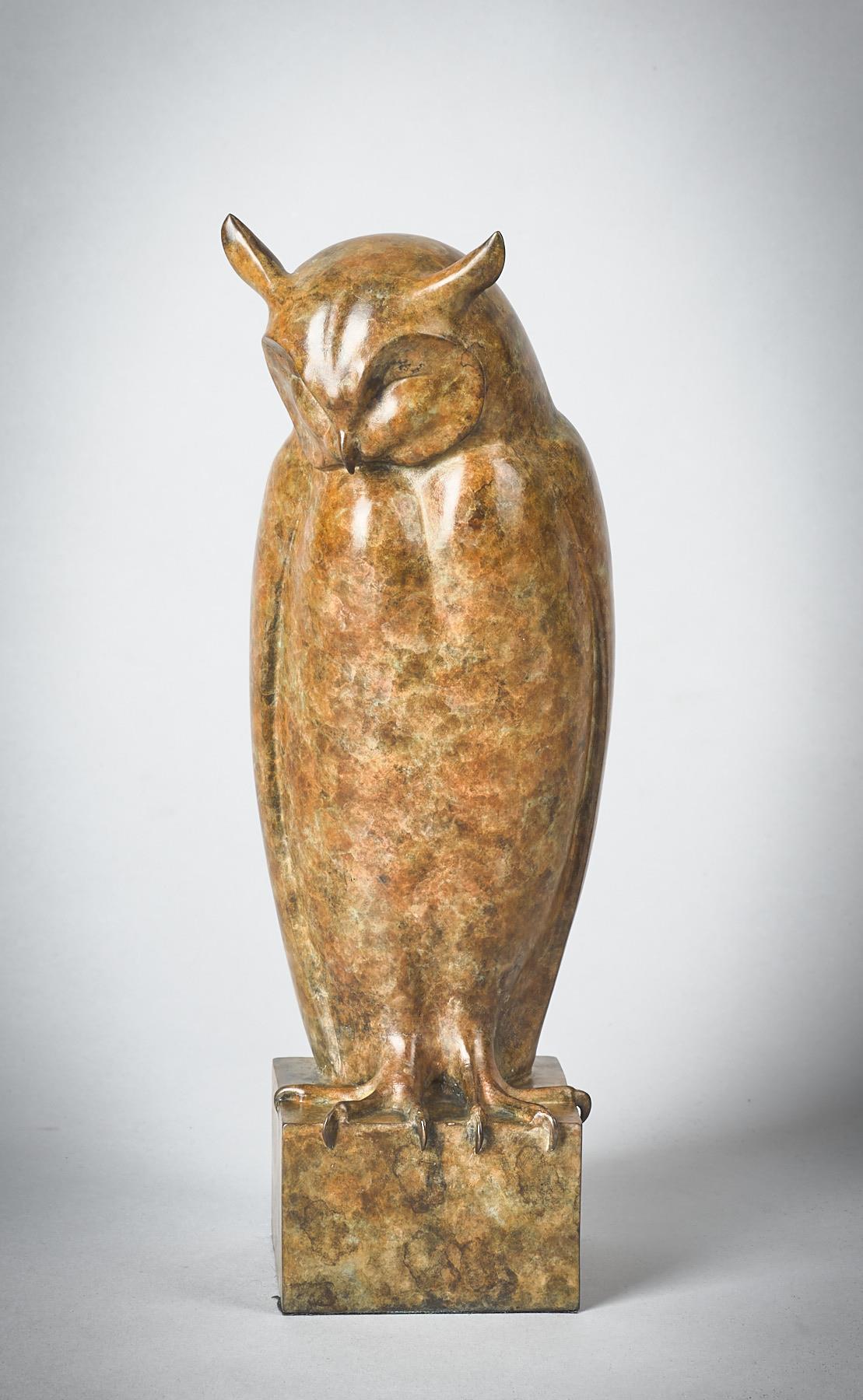 Jonathan Knight | Small Long Eared Owl
