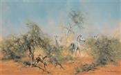 Zebras in the Brush, David Shepherd