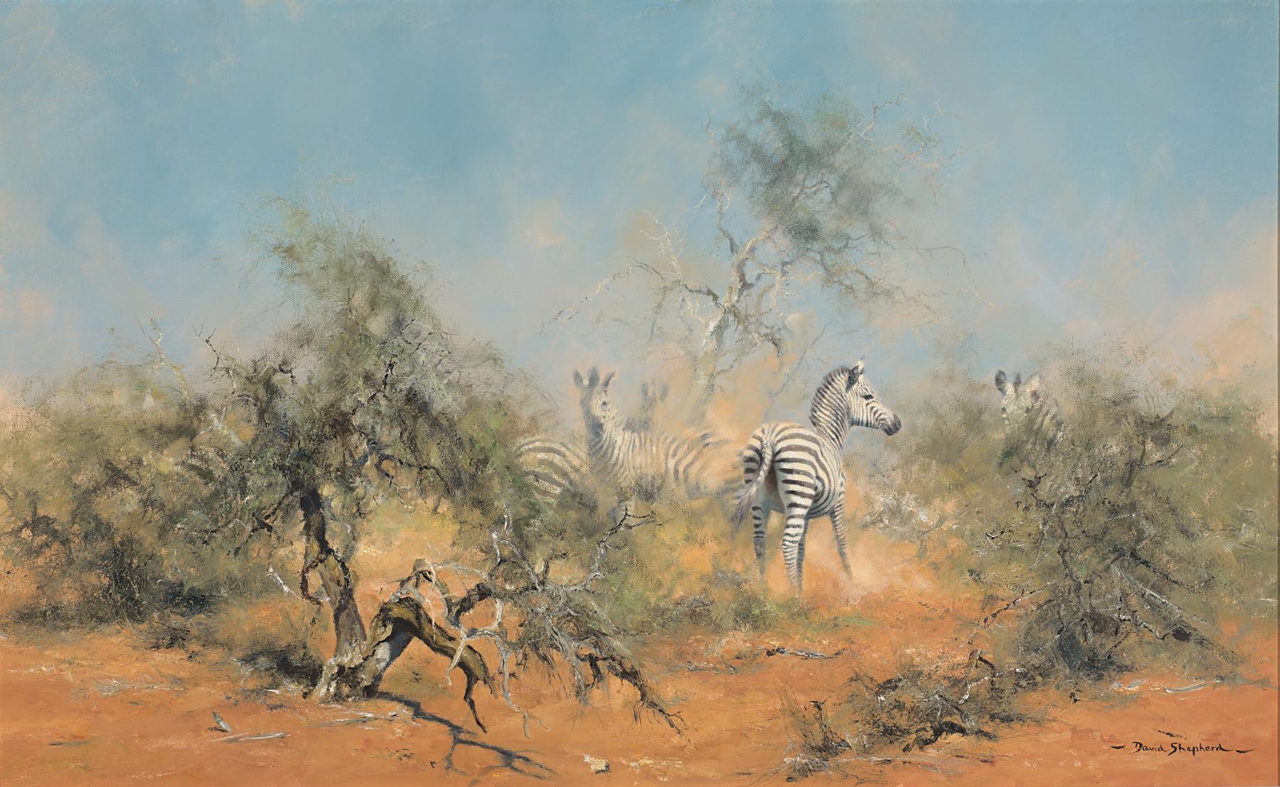 David Shepherd | Zebras in the Brush
