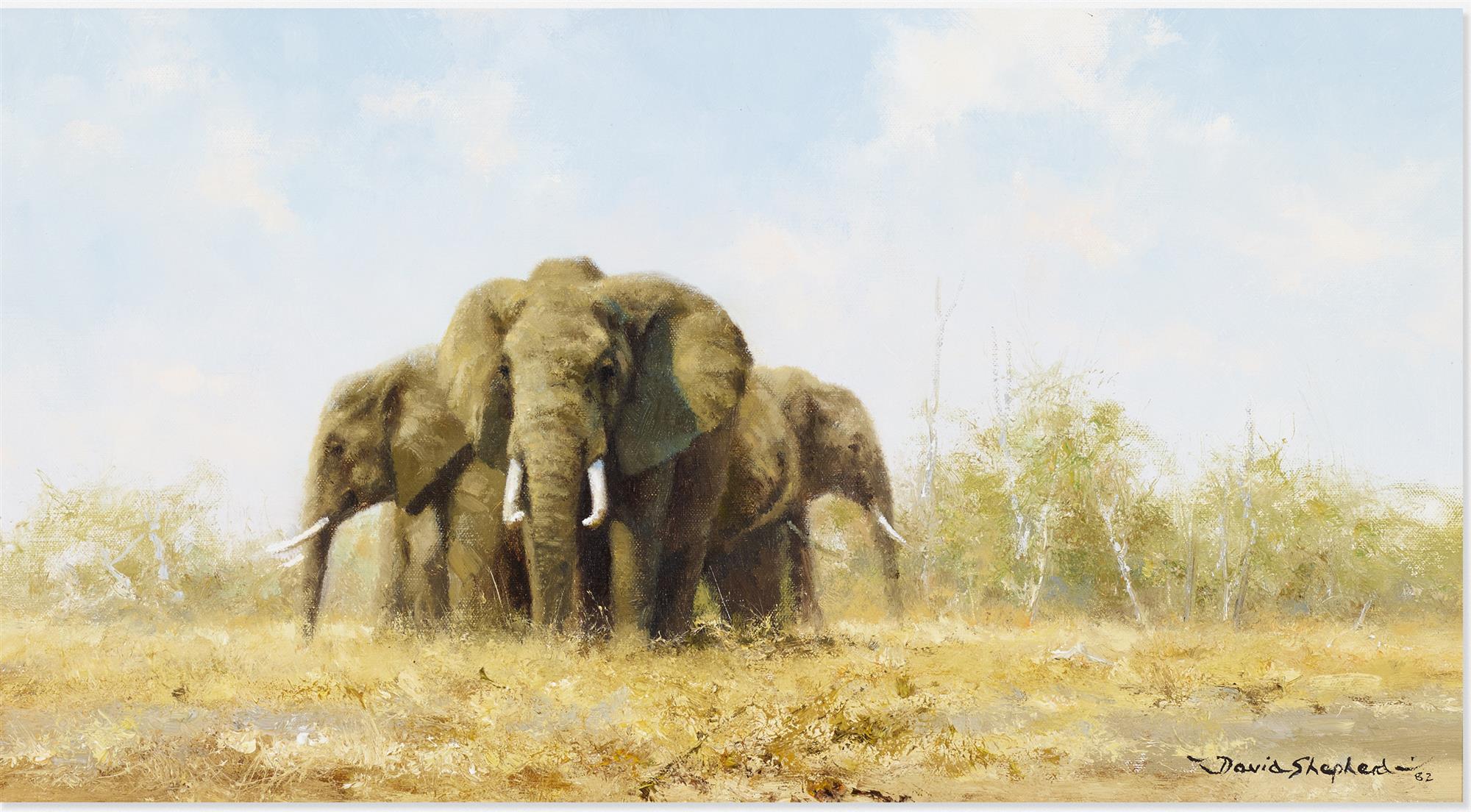 David Shepherd | Elephants