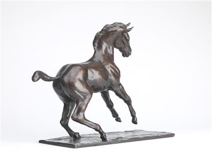 Philip Blacker | Startled Foal