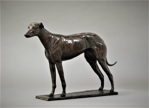 Philip Blacker | Greyhound