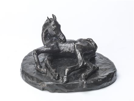Philip Blacker | Foal Lying Down