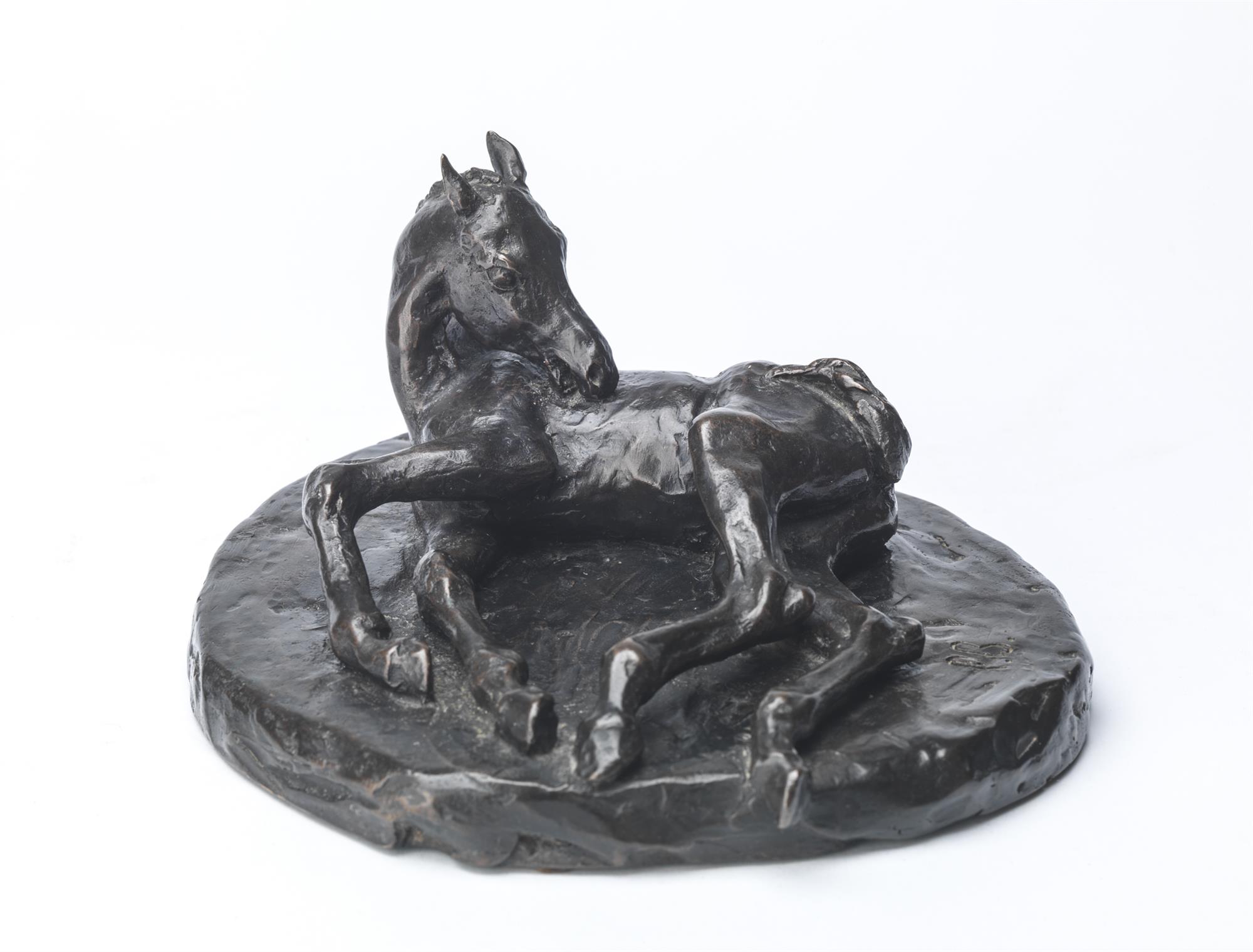 Philip Blacker | Foal Lying Down