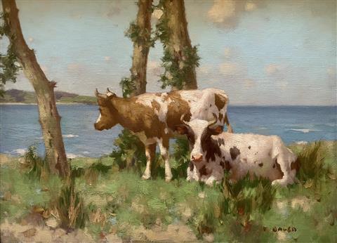 David Gauld | Ayrshire Cattle