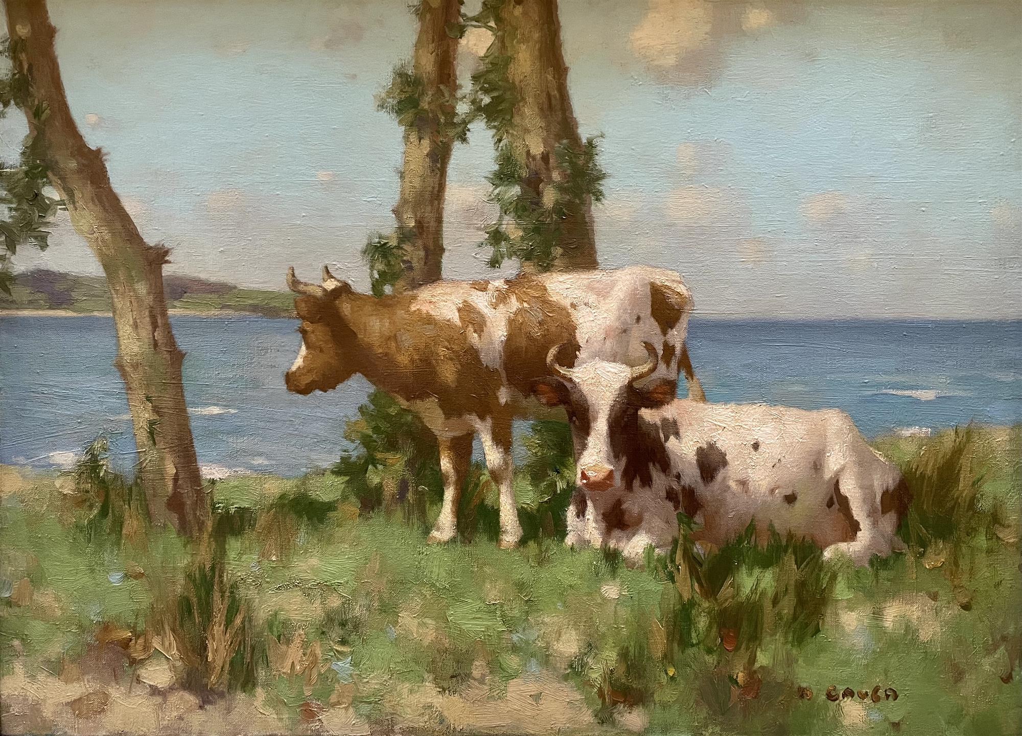 David Gauld | Ayrshire Cattle