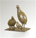 Quail, Jonathan Knight