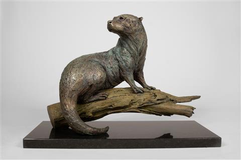 Knox Field | Otter