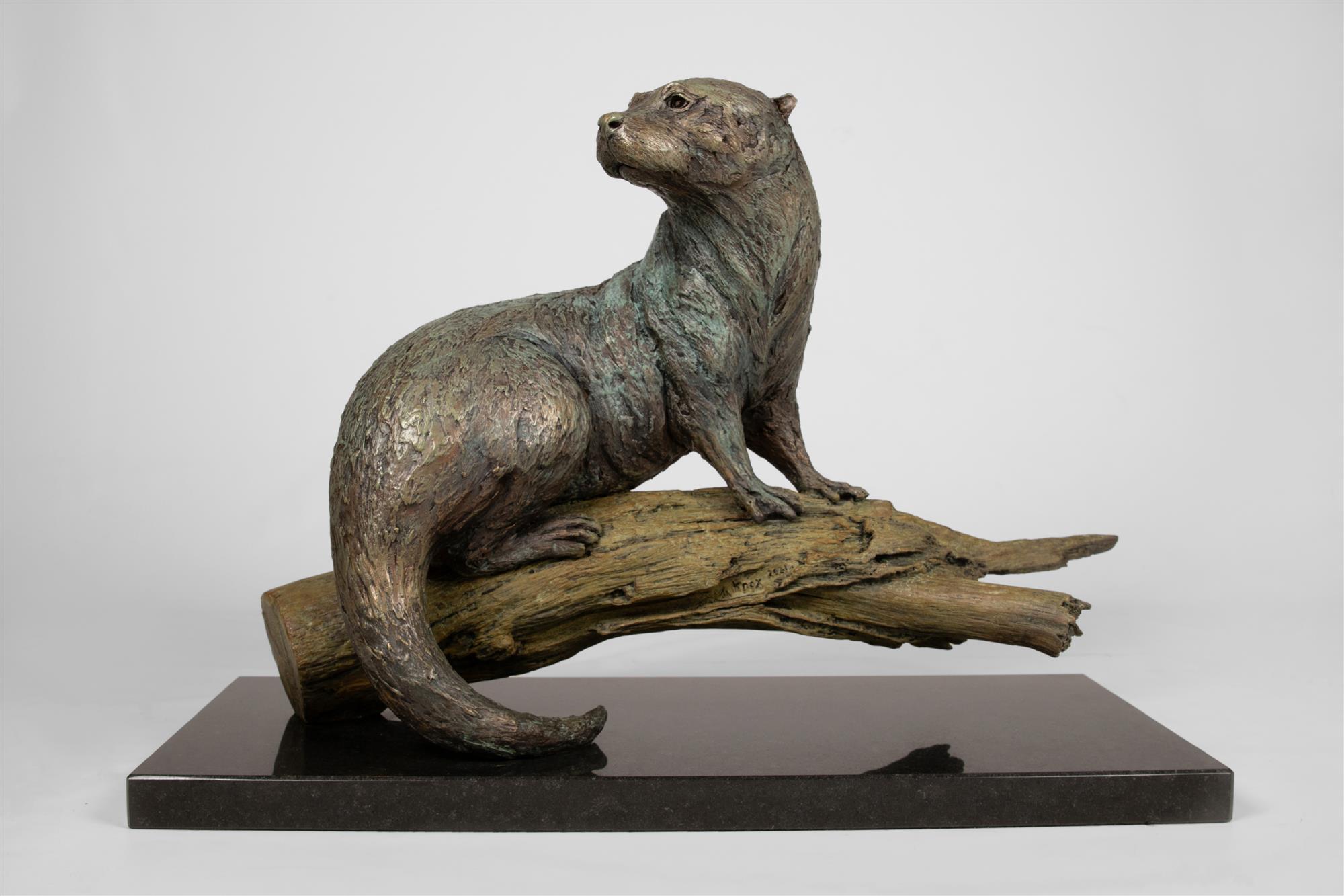 Knox Field | Otter