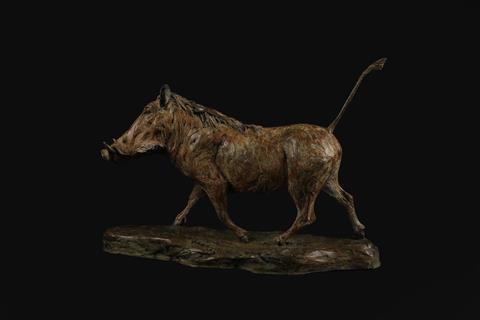 Knox Field | Warthog