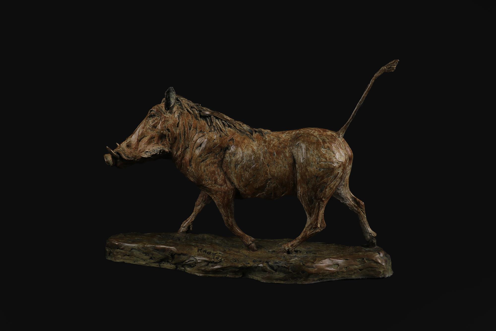 Knox Field | Warthog