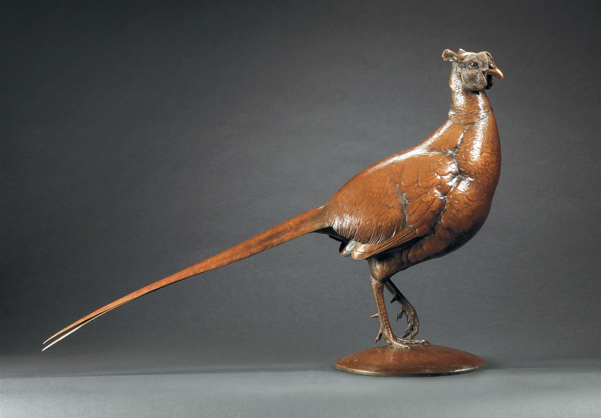Nick Bibby | Pheasant