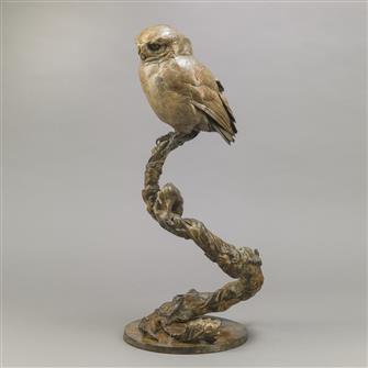 Nick Bibby | Little Owl II