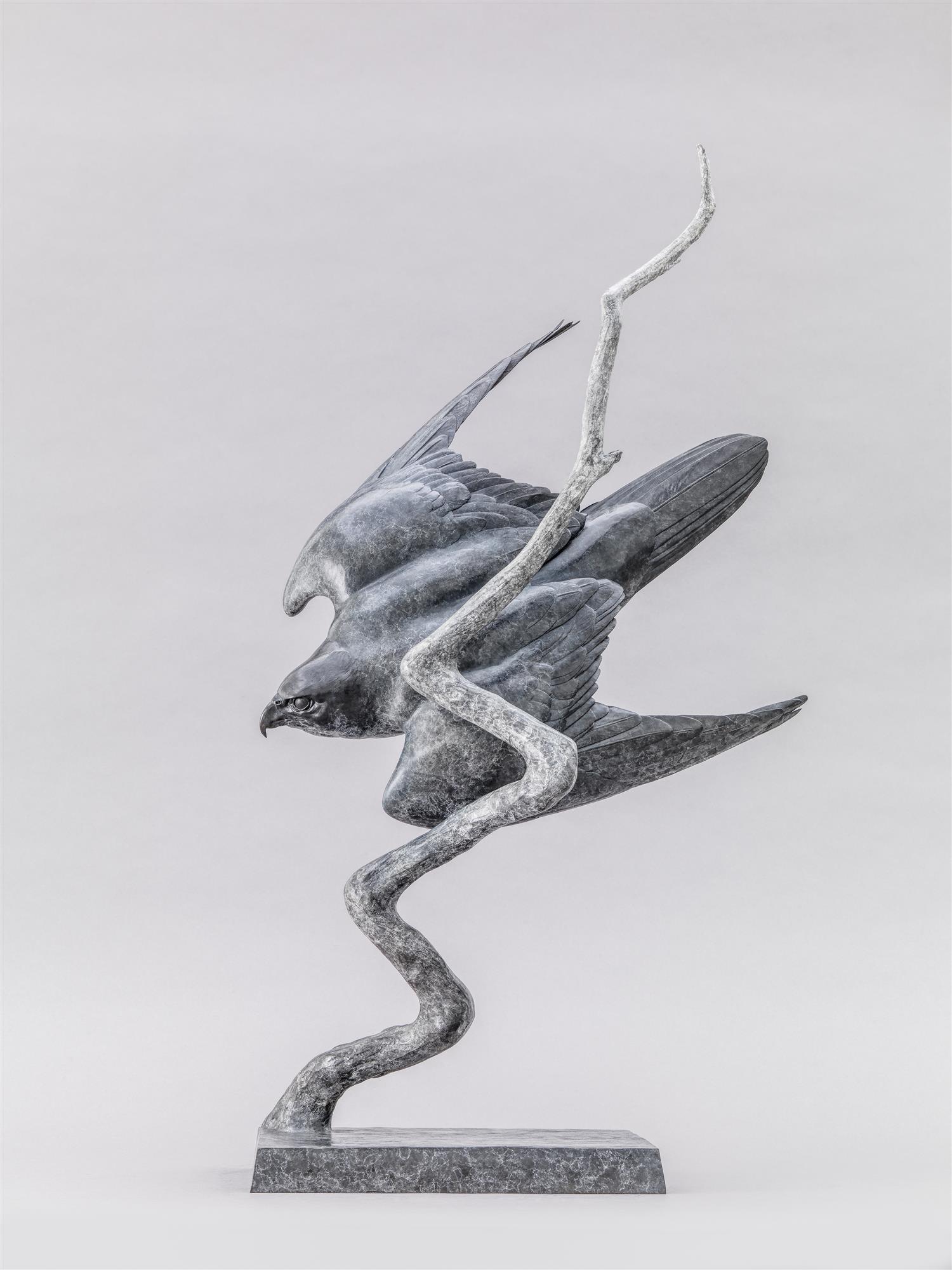 Nick Bibby | Peregrine II: “Lightning Bolt”