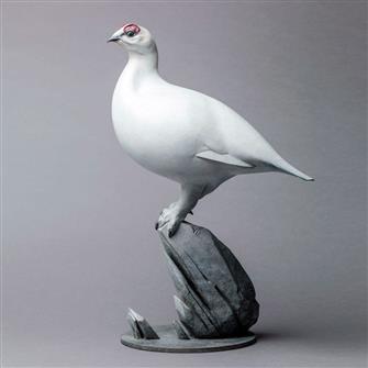 Nick Bibby | Ptarmigan