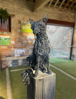 Rupert Till | Mr Fox