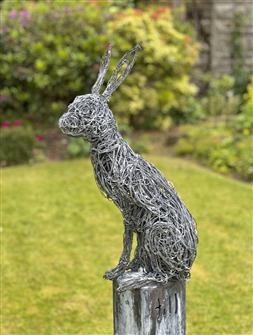 Rupert Till | Hare