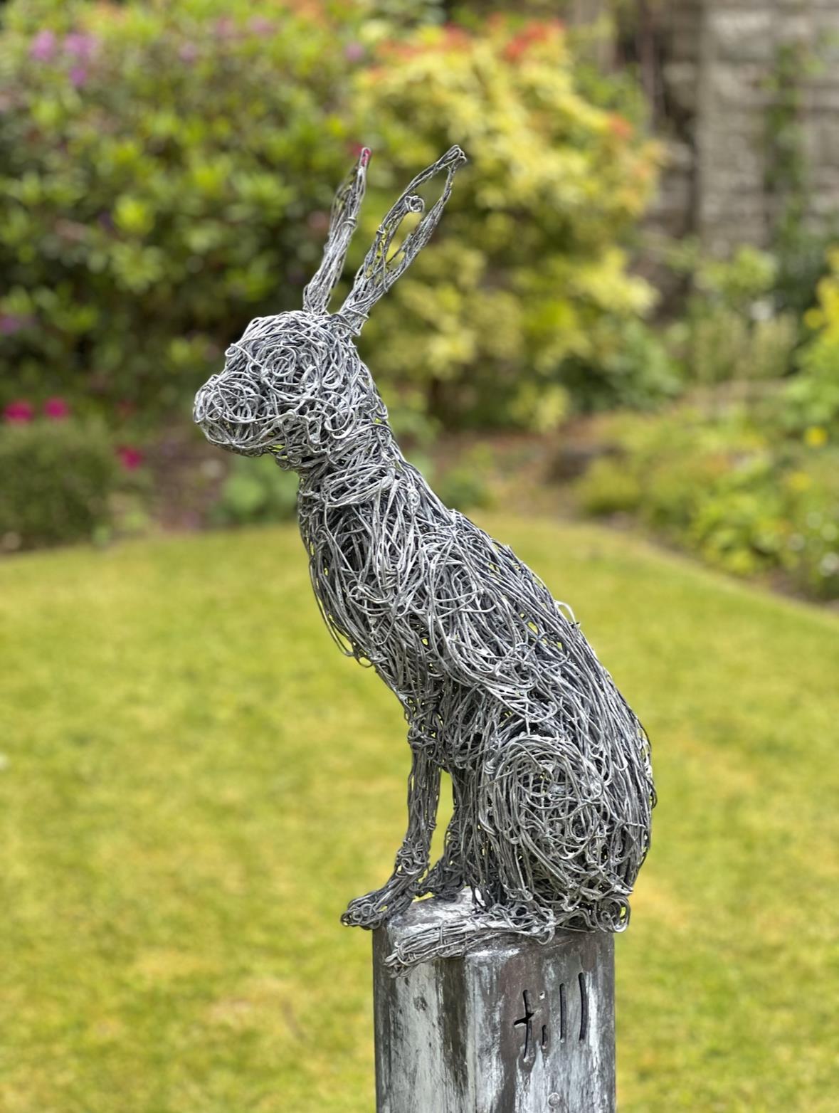 Rupert Till | Hare