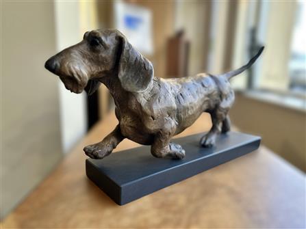 Lucy Kinsella | Dachshund