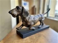 Dachshund, Lucy Kinsella