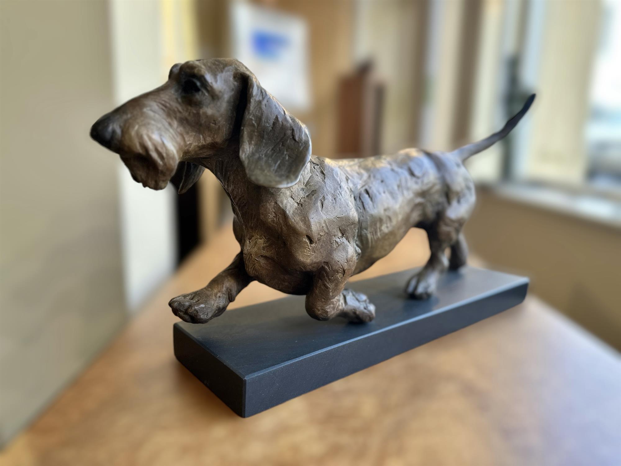 Lucy Kinsella | Dachshund