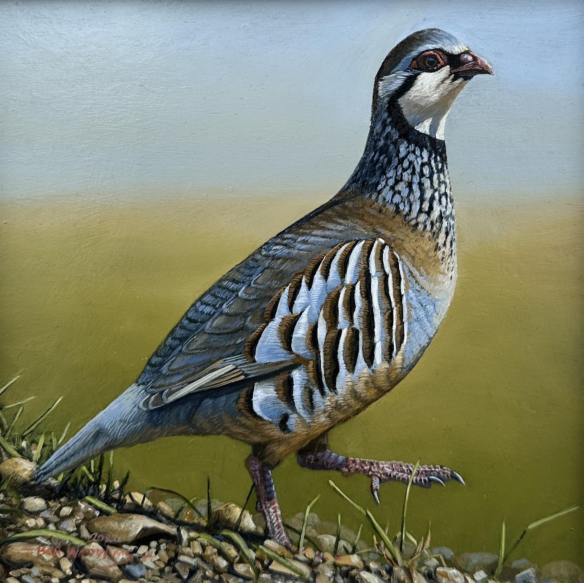 Ben Waddams | Partridge in Field