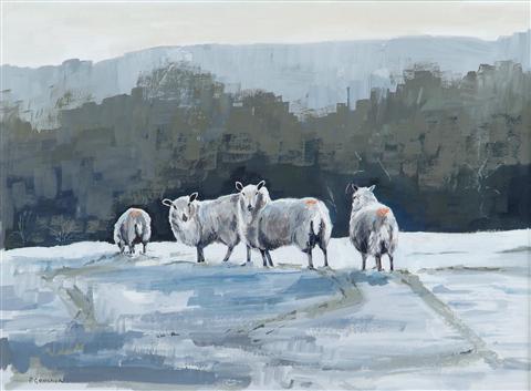 Barbara Goolden | Sheep in Snow