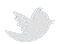 Twitter Logo